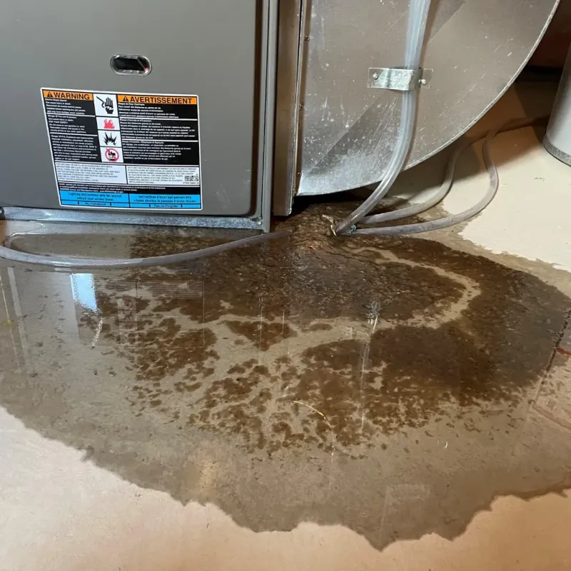 Appliance Leak Cleanup in Park County, MT